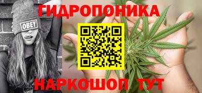 мдпв Обнинск