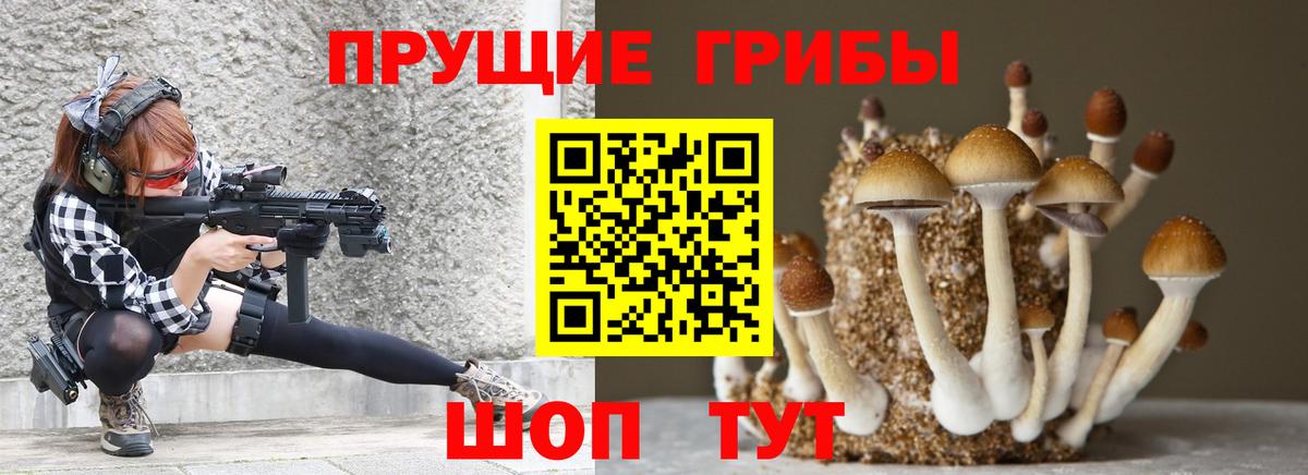 Псилоцибиновые грибы мицелий  Вход с VPN  Обь  Псилоцибиновые грибы Cubensis 